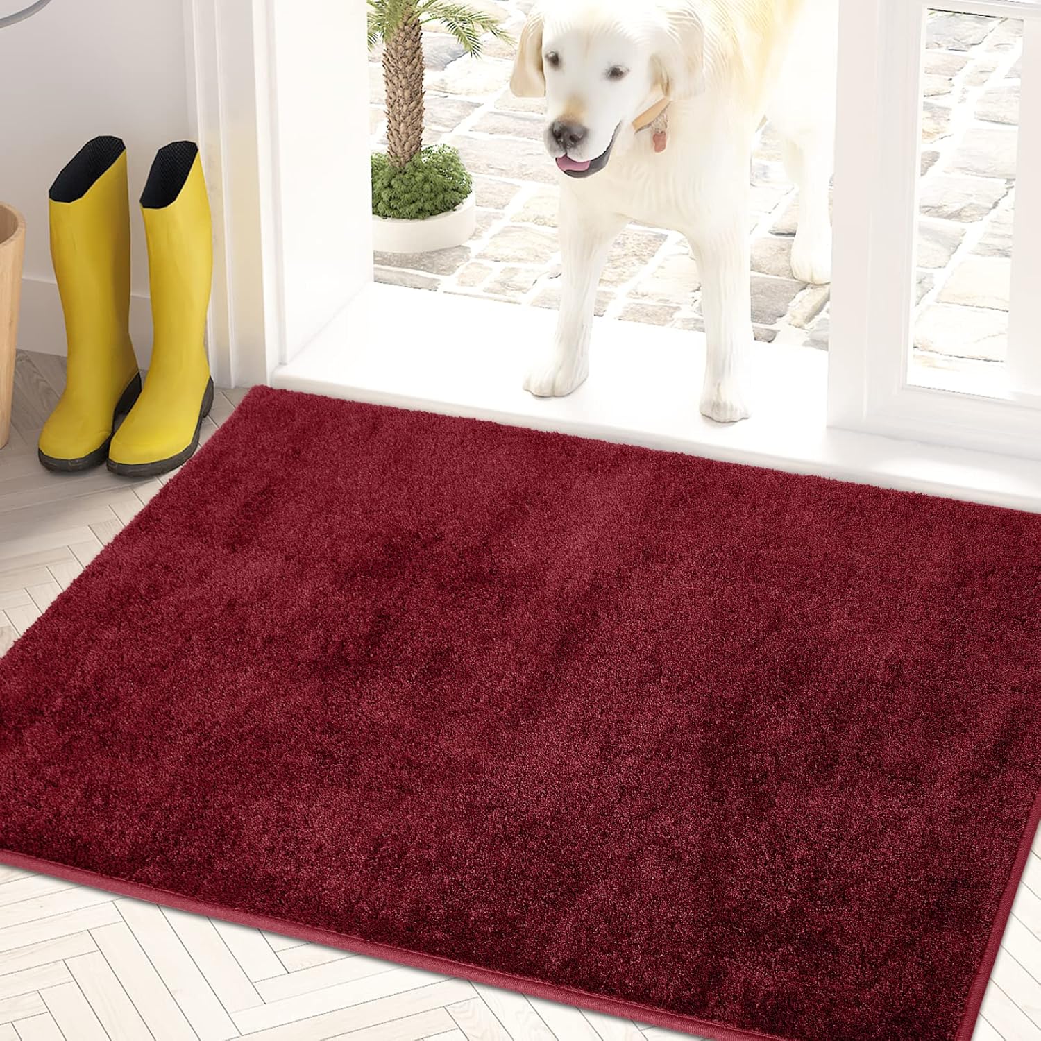 PURRUGS Easy Care Area Rug 4ft x 6ft, Non-Slip Machine Washable Entryway Rug, Dog Door Mat, Stain Resistant Accent Rug for Hallway, Living Room, Bedroom and Mudroom, Charcoal