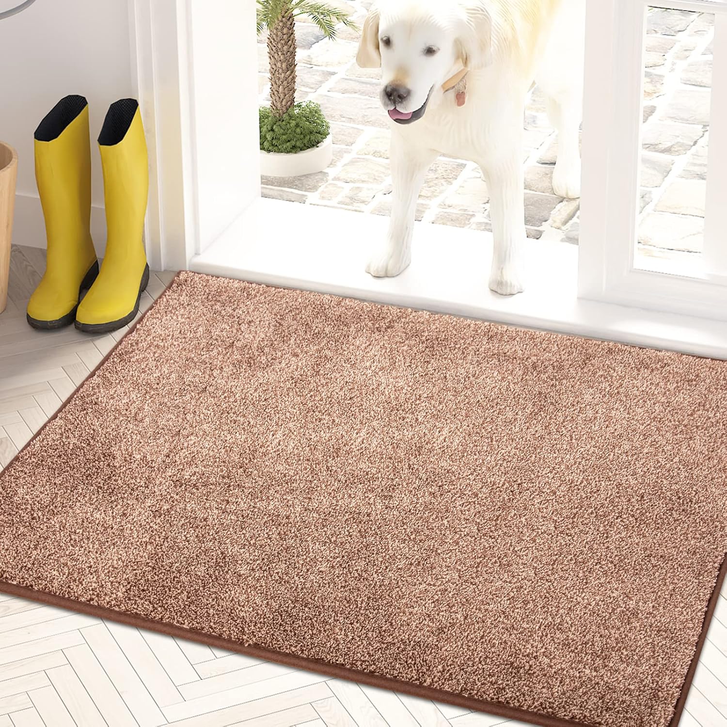 PURRUGS Easy Care Area Rug 4ft x 6ft, Non-Slip Machine Washable Entryway Rug, Dog Door Mat, Stain Resistant Accent Rug for Hallway, Living Room, Bedroom and Mudroom, Charcoal