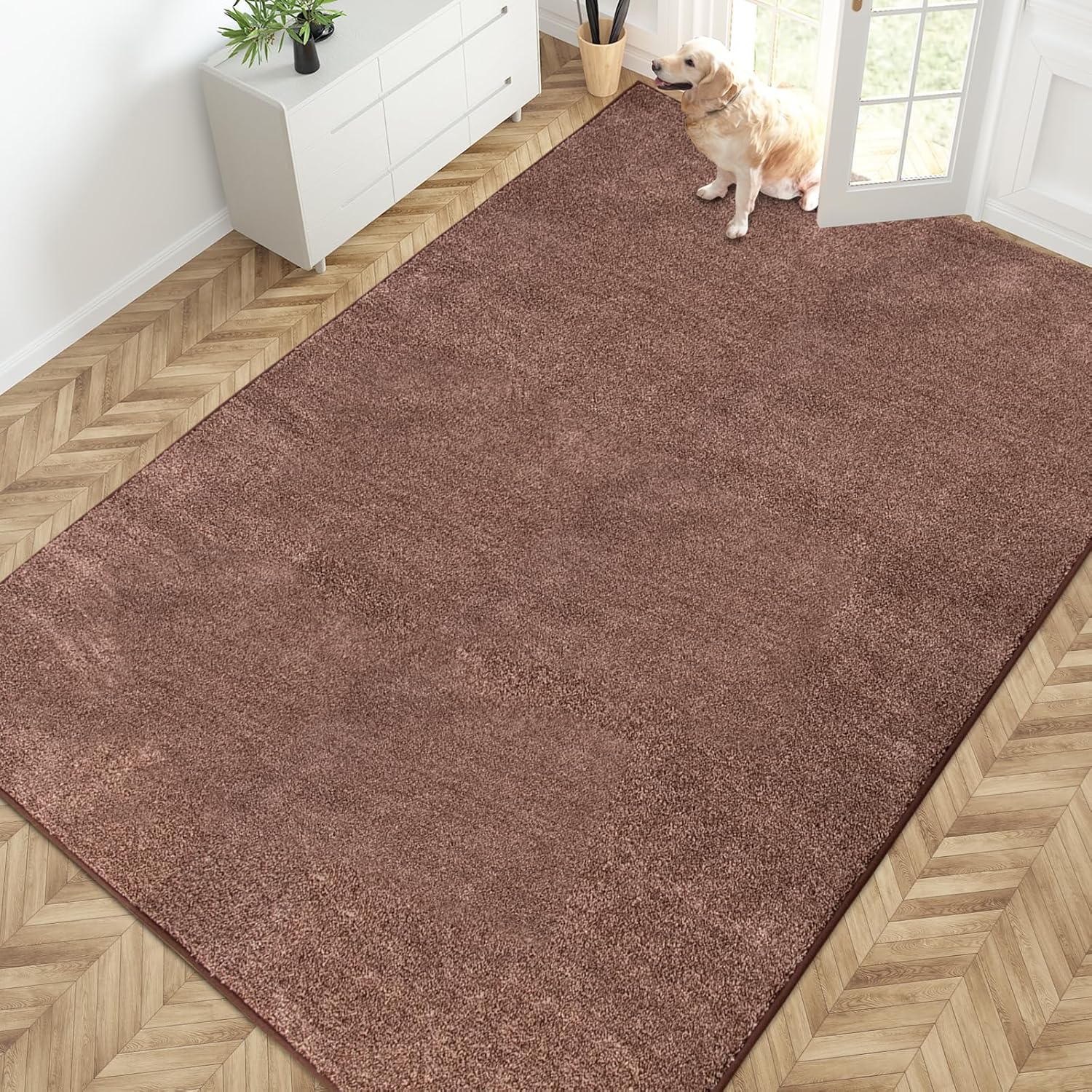PURRUGS Easy Care Area Rug 4ft x 6ft, Non-Slip Machine Washable Entryway Rug, Dog Door Mat, Stain Resistant Accent Rug for Hallway, Living Room, Bedroom and Mudroom, Charcoal