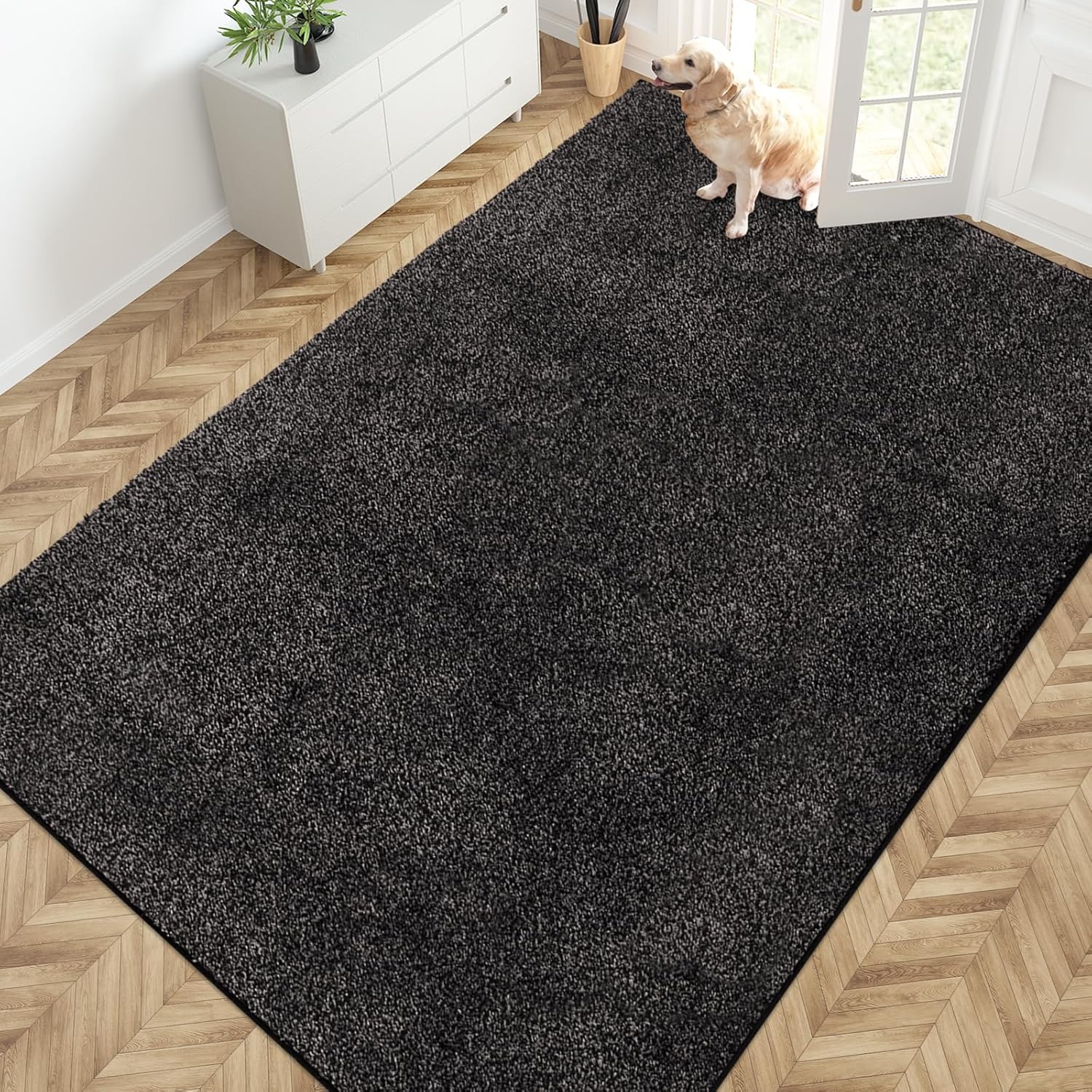 PURRUGS Easy Care Area Rug 4ft x 6ft, Non-Slip Machine Washable Entryway Rug, Dog Door Mat, Stain Resistant Accent Rug for Hallway, Living Room, Bedroom and Mudroom, Charcoal