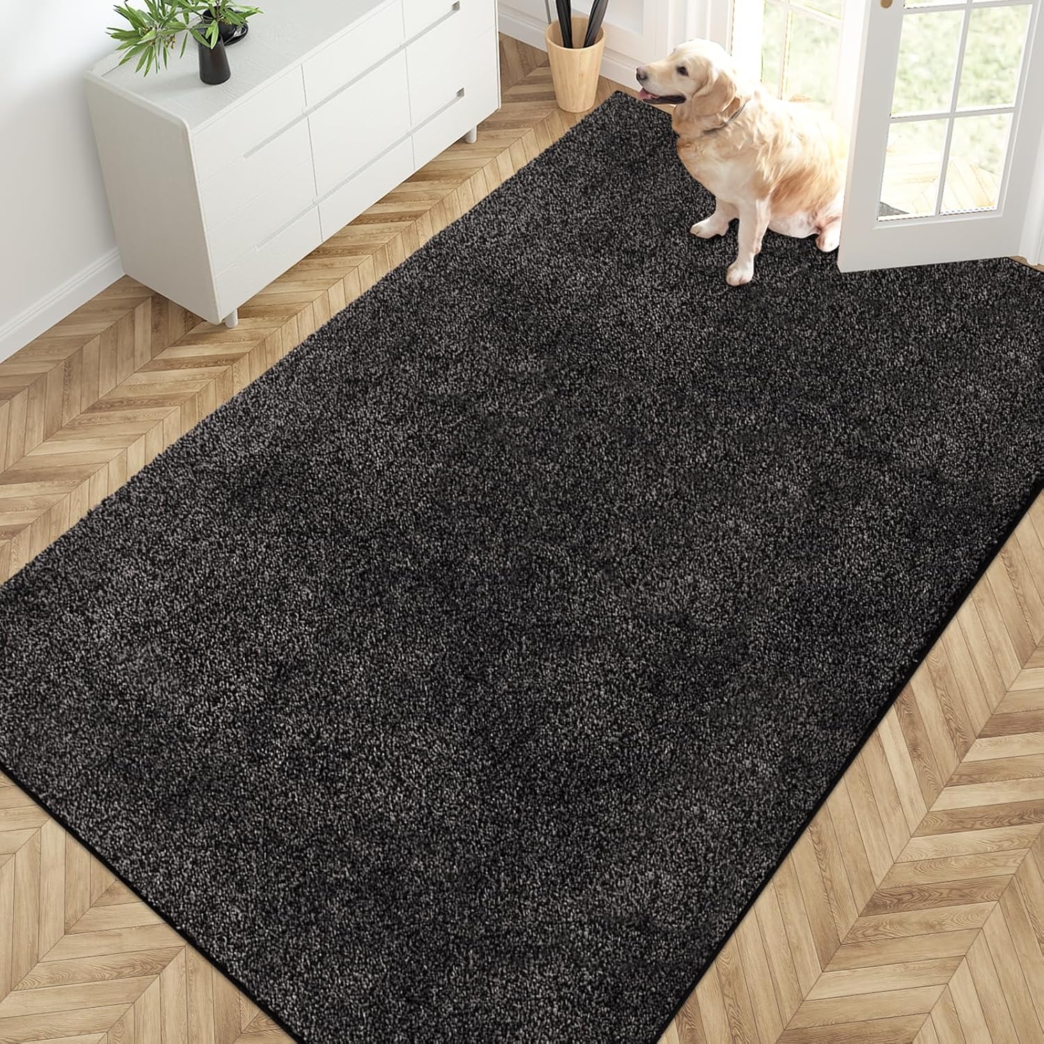 PURRUGS Easy Care Area Rug 4ft x 6ft, Non-Slip Machine Washable Entryway Rug, Dog Door Mat, Stain Resistant Accent Rug for Hallway, Living Room, Bedroom and Mudroom, Charcoal