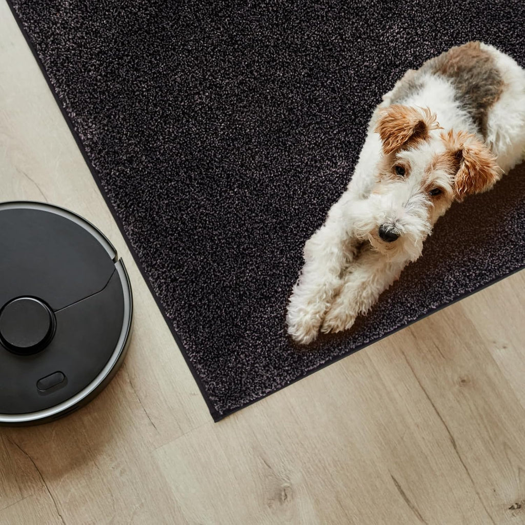 PURRUGS Easy Care Area Rug 4ft x 6ft, Non-Slip Machine Washable Entryway Rug, Dog Door Mat, Stain Resistant Accent Rug for Hallway, Living Room, Bedroom and Mudroom, Charcoal