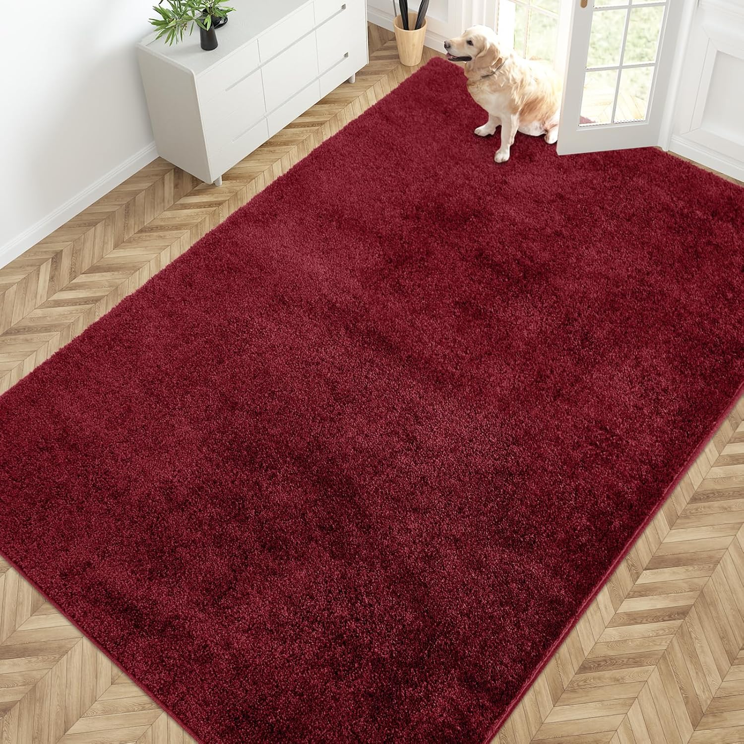 PURRUGS Easy Care Area Rug 4ft x 6ft, Non-Slip Machine Washable Entryway Rug, Dog Door Mat, Stain Resistant Accent Rug for Hallway, Living Room, Bedroom and Mudroom, Charcoal