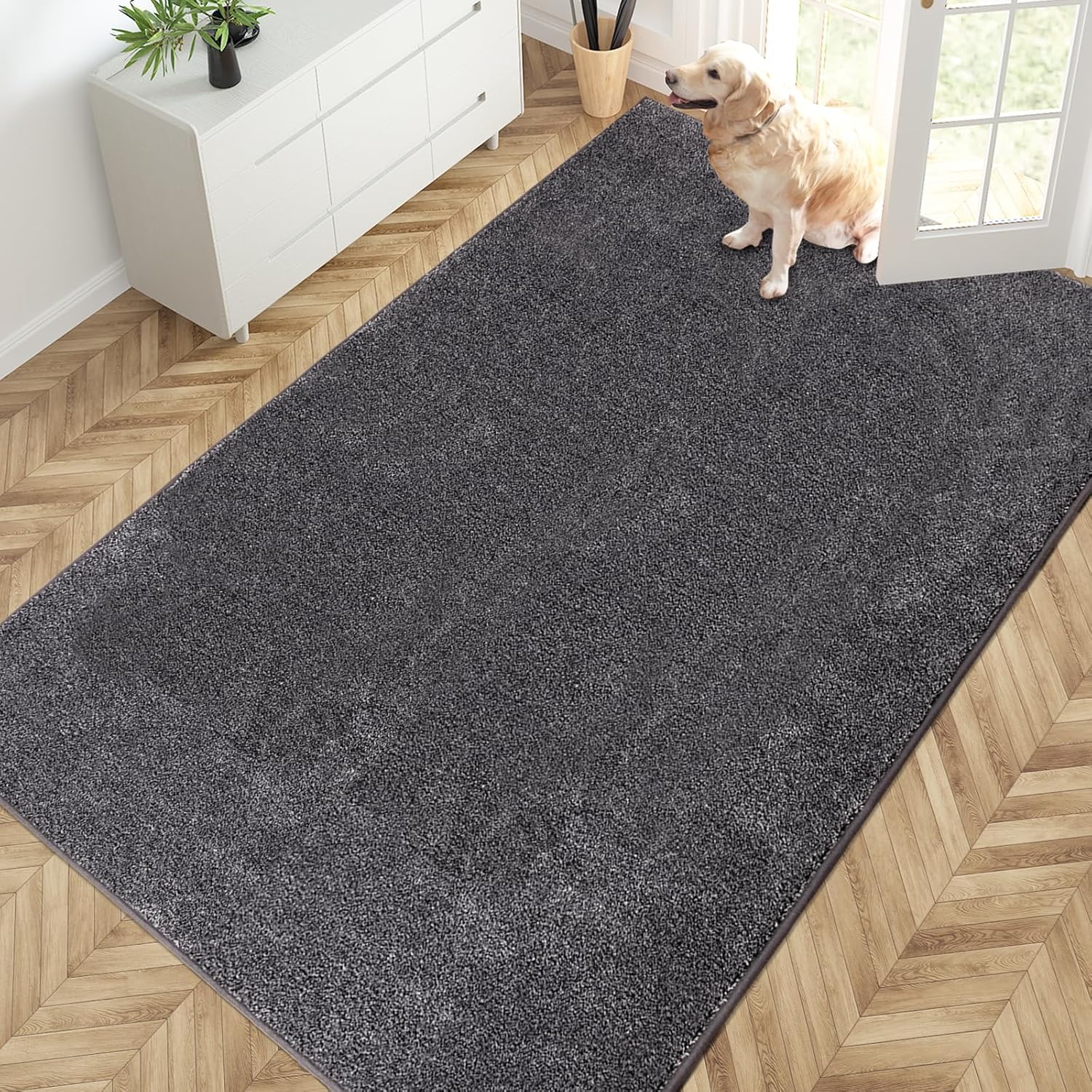 PURRUGS Easy Care Area Rug 4ft x 6ft, Non-Slip Machine Washable Entryway Rug, Dog Door Mat, Stain Resistant Accent Rug for Hallway, Living Room, Bedroom and Mudroom, Charcoal