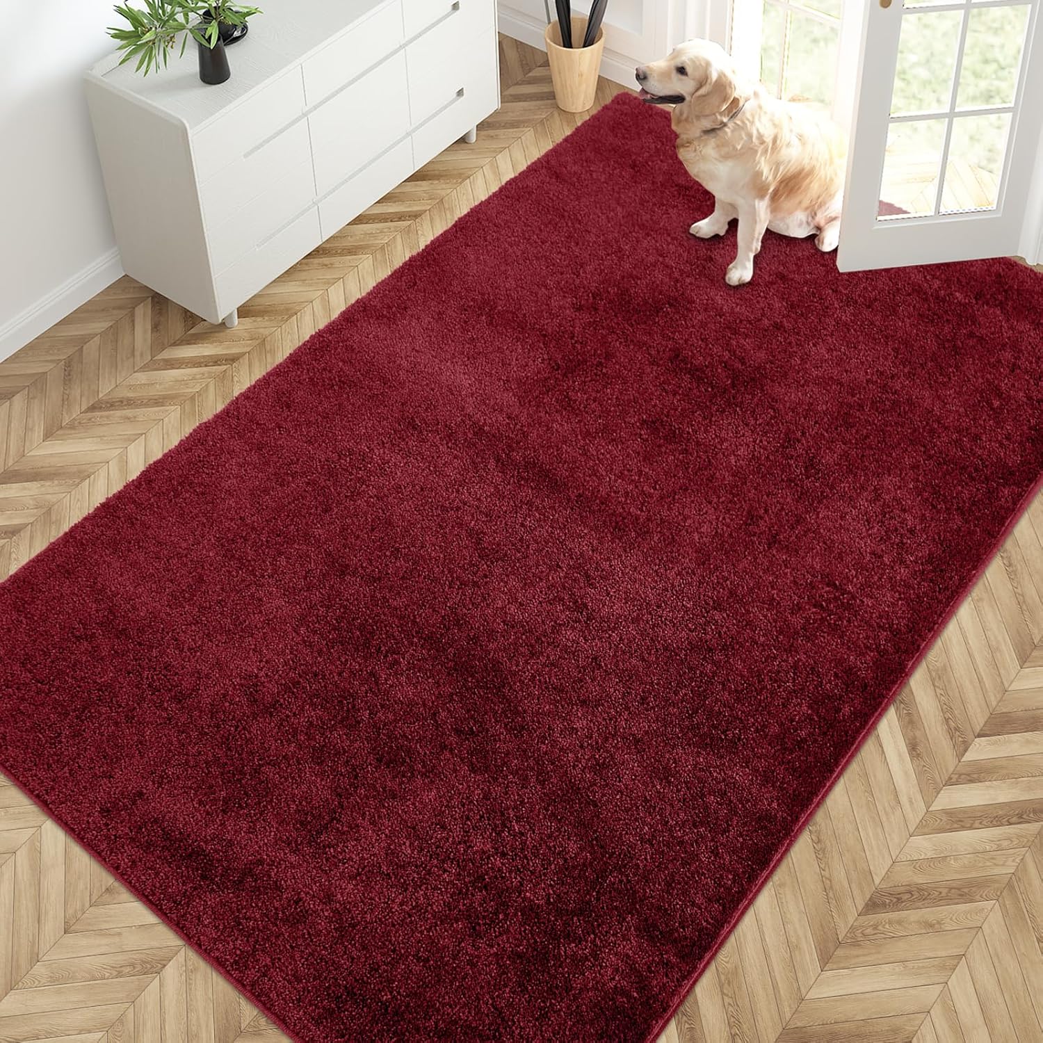 PURRUGS Easy Care Area Rug 4ft x 6ft, Non-Slip Machine Washable Entryway Rug, Dog Door Mat, Stain Resistant Accent Rug for Hallway, Living Room, Bedroom and Mudroom, Charcoal
