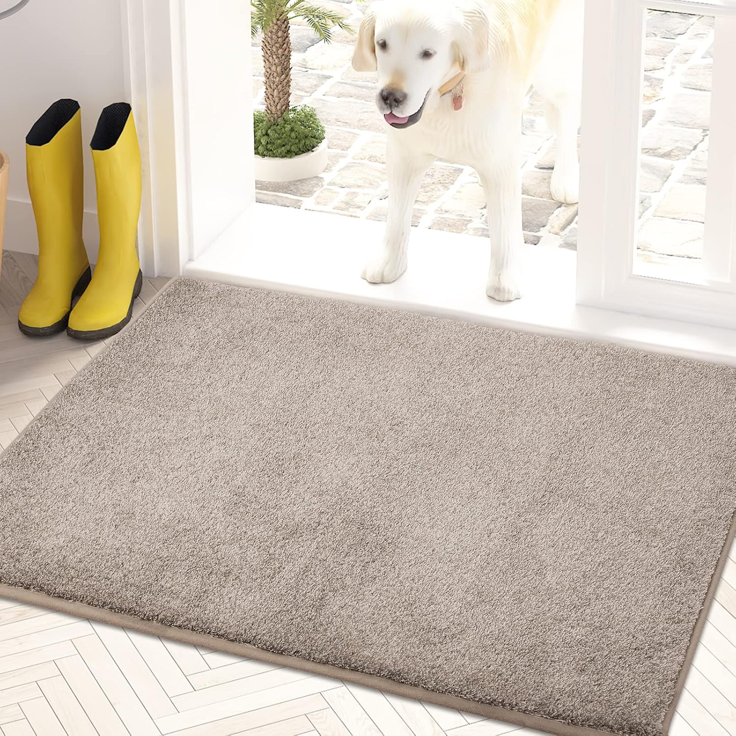PURRUGS Easy Care Area Rug 4ft x 6ft, Non-Slip Machine Washable Entryway Rug, Dog Door Mat, Stain Resistant Accent Rug for Hallway, Living Room, Bedroom and Mudroom, Charcoal