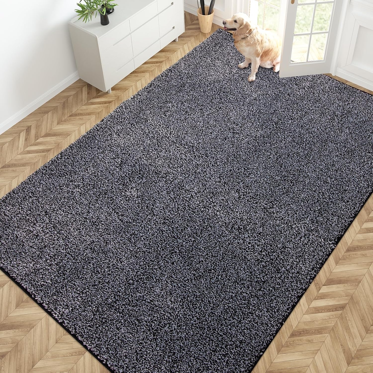 PURRUGS Easy Care Area Rug 4ft x 6ft, Non-Slip Machine Washable Entryway Rug, Dog Door Mat, Stain Resistant Accent Rug for Hallway, Living Room, Bedroom and Mudroom, Charcoal