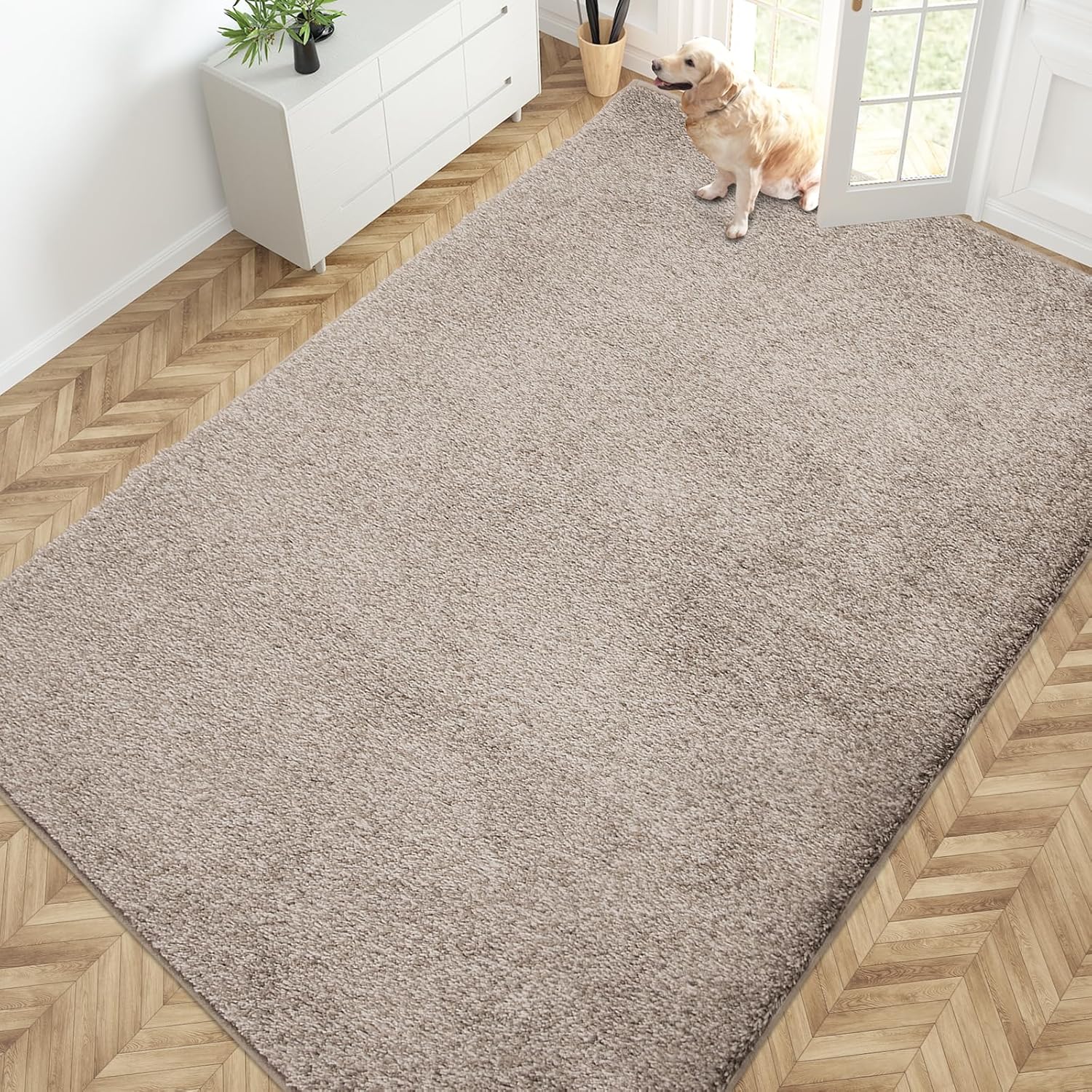 PURRUGS Easy Care Area Rug 4ft x 6ft, Non-Slip Machine Washable Entryway Rug, Dog Door Mat, Stain Resistant Accent Rug for Hallway, Living Room, Bedroom and Mudroom, Charcoal